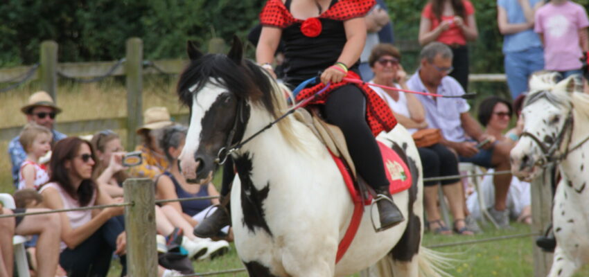 Stage poney vacances Février 2026